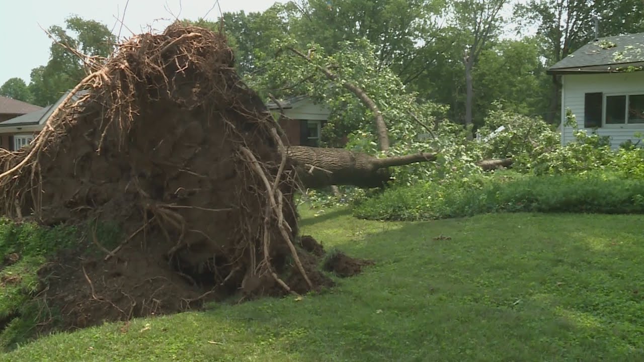 STORM DAMAGE CLEANUP