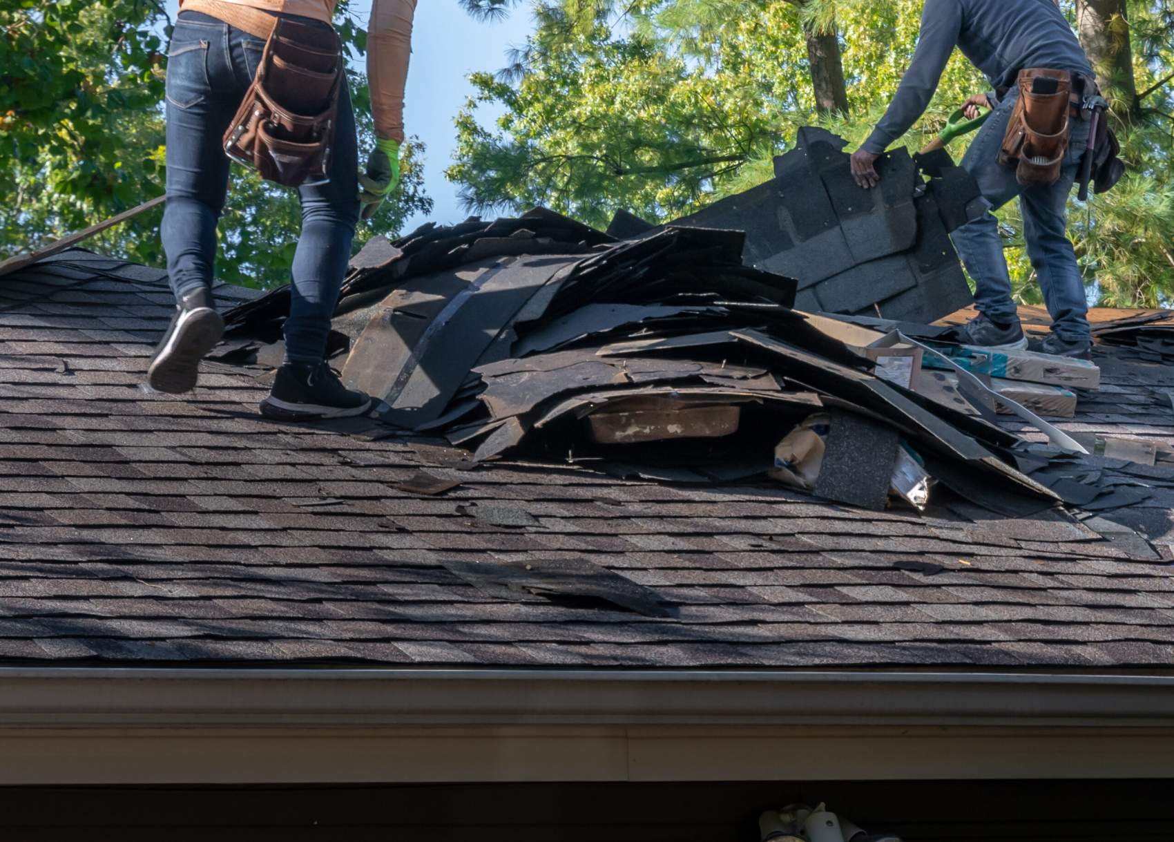 STORM DAMAGE CLEANUP