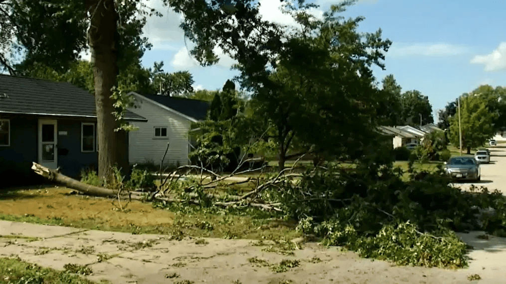 STORM DAMAGE CLEANUP