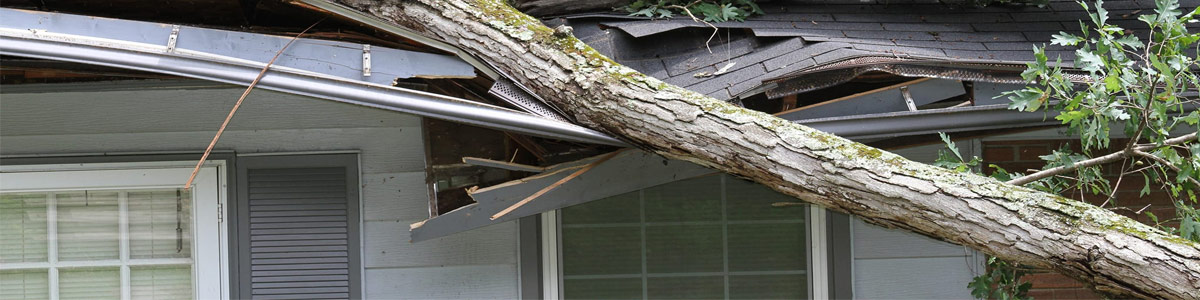 STORM DAMAGE CLEANUP